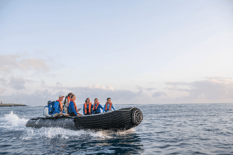 7 Inspiring Activities for Young Explorers in Galápagos - Article