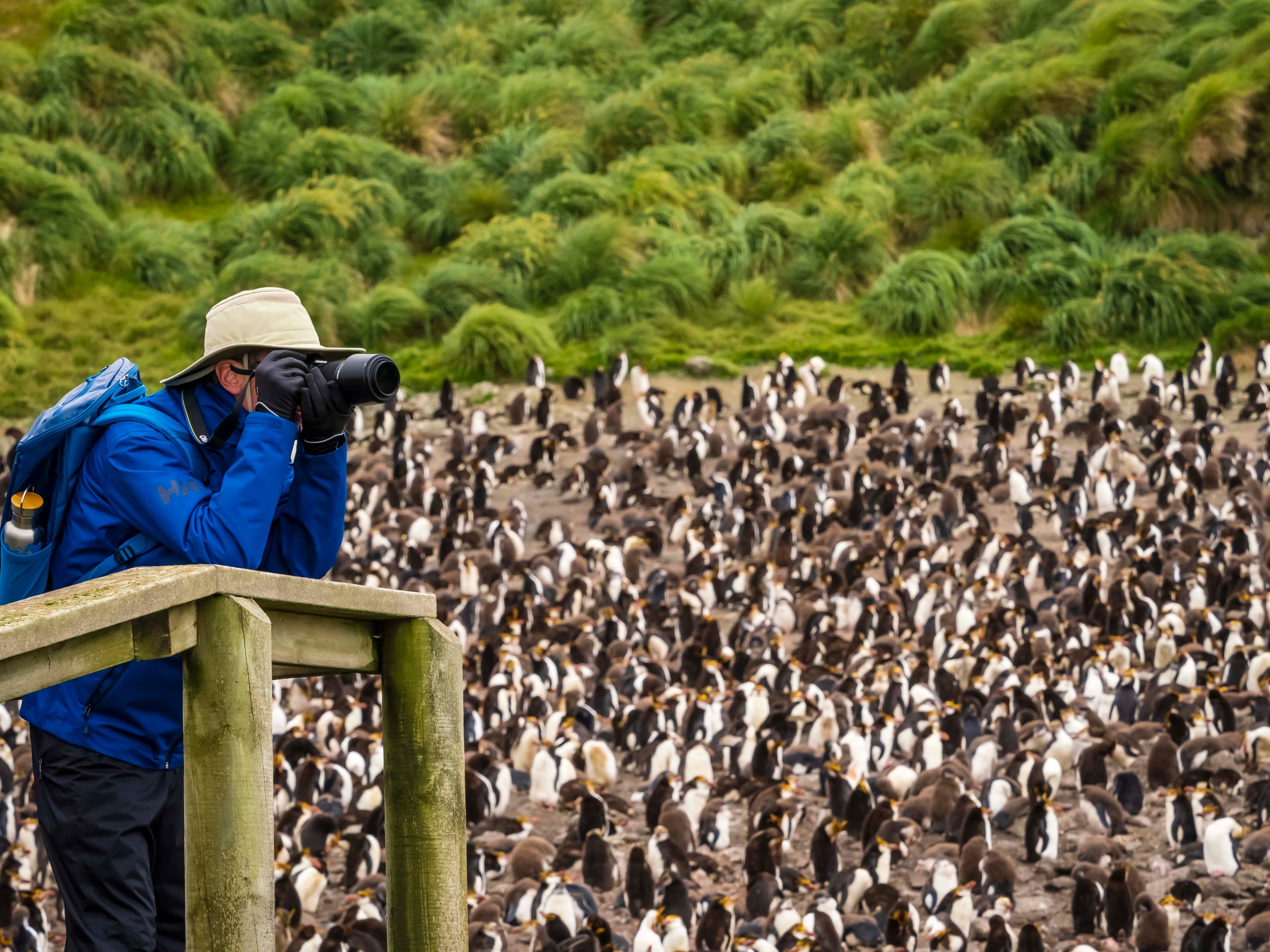 Subantarctic_ Ralph Lee Hopkins 008_HOPKINS_AUS23_22021.jpg