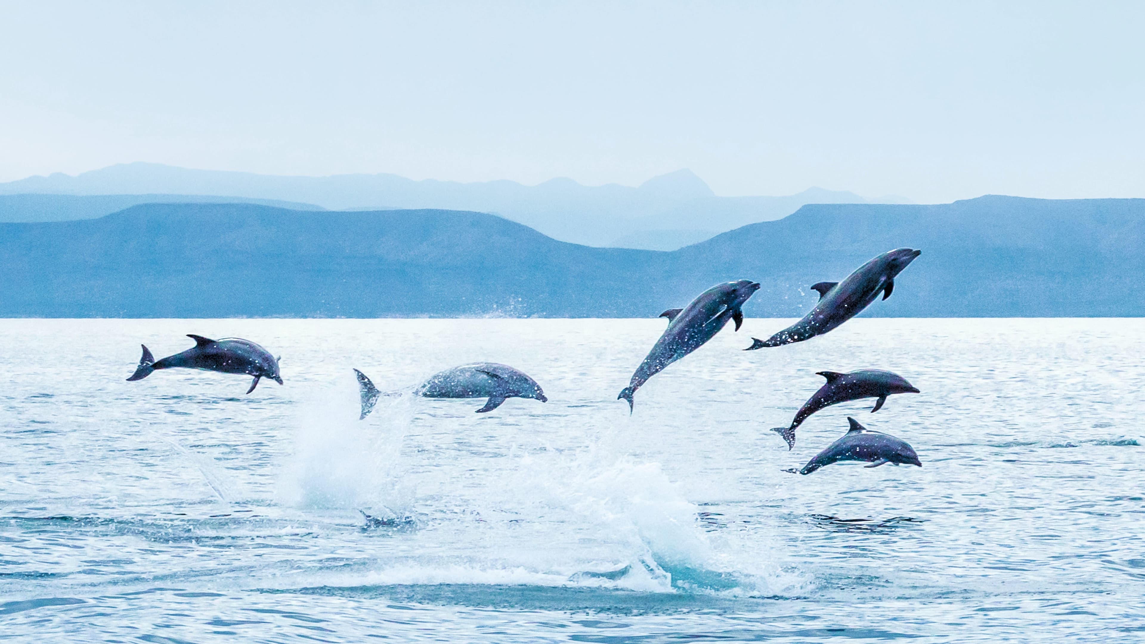 Photograph by: Ralph Lee Hopkins