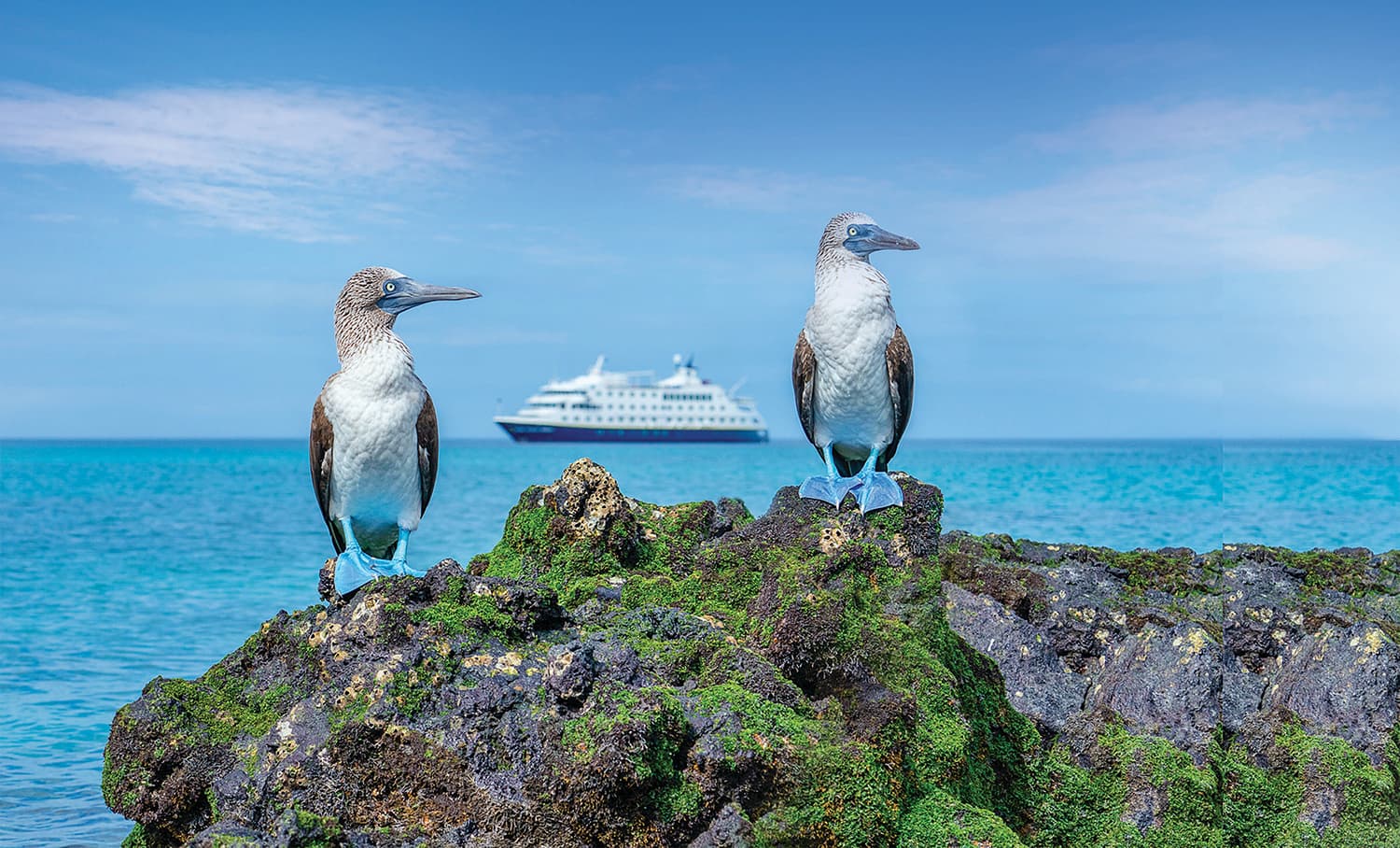 Ecuador Galapagos Islands - Ship NG Endeavor II Exterior - AJ-GALA19