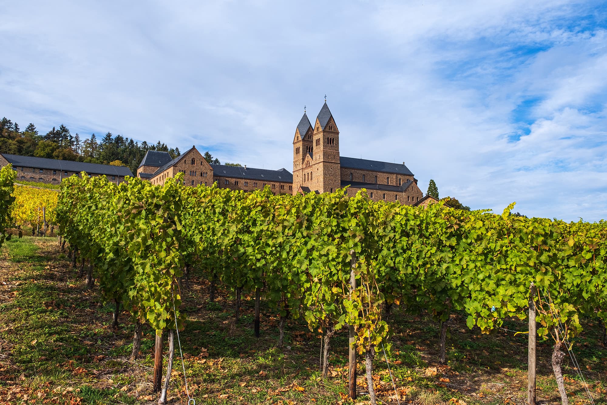 Germany Abbey of St. Hildegard Hesse shutterstock1458691445