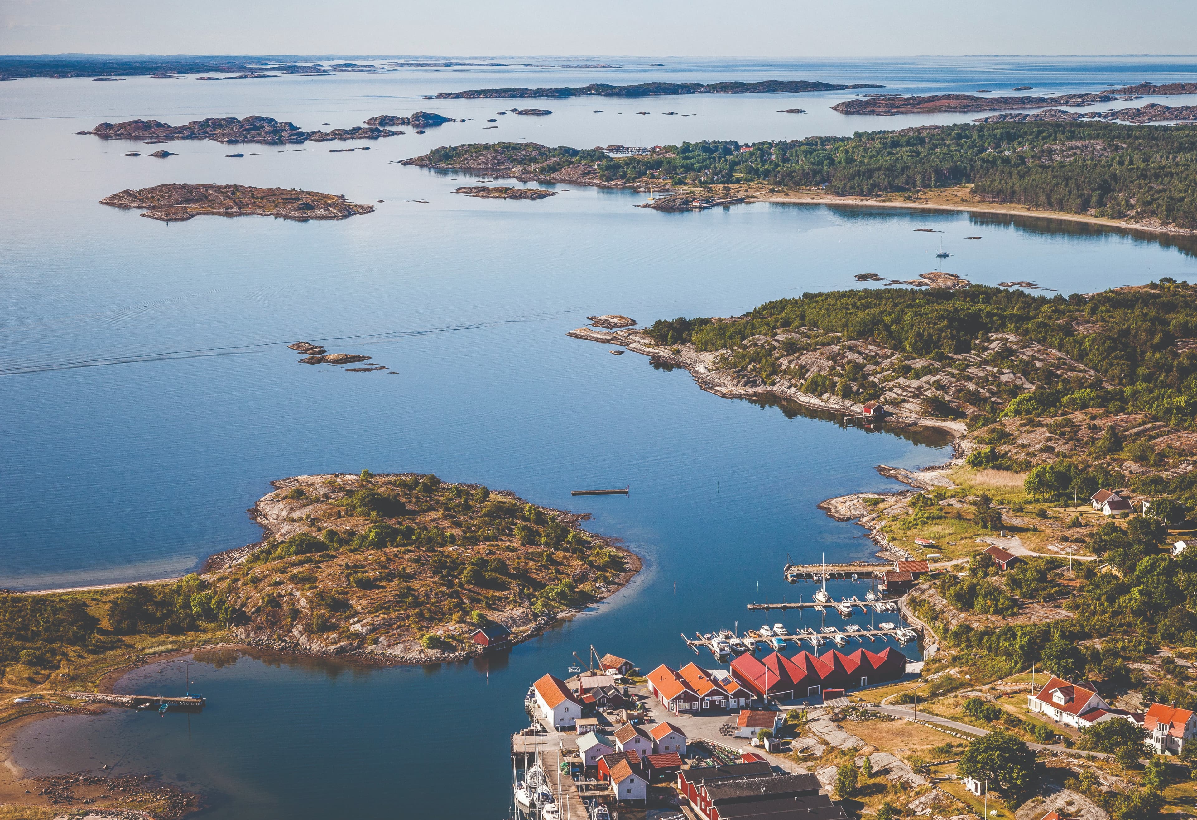per_pixel_petersson-koster_–_a_marine_national_park-5677.jpg