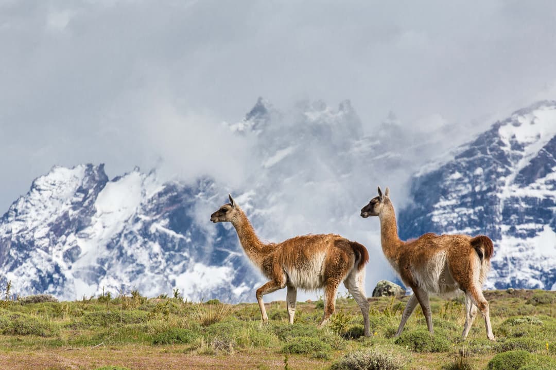 Staff Favorites: Highlights From Expeditions Across the Globe - Article