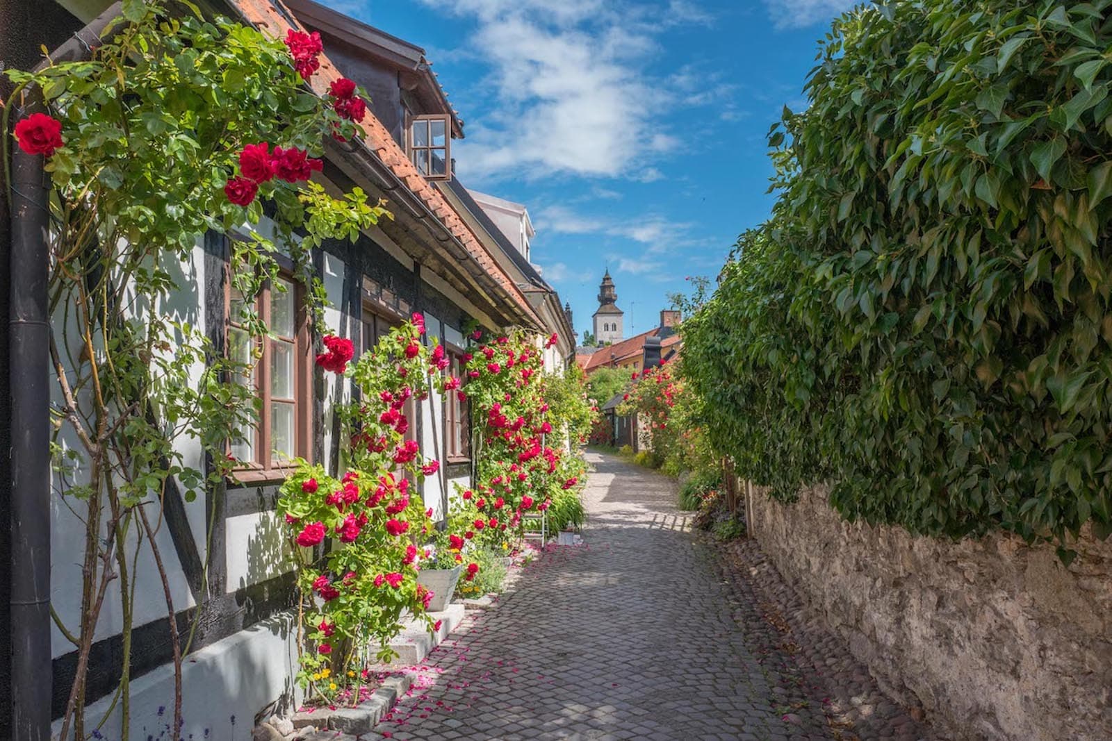 Visby Cobblestone Street.jpg