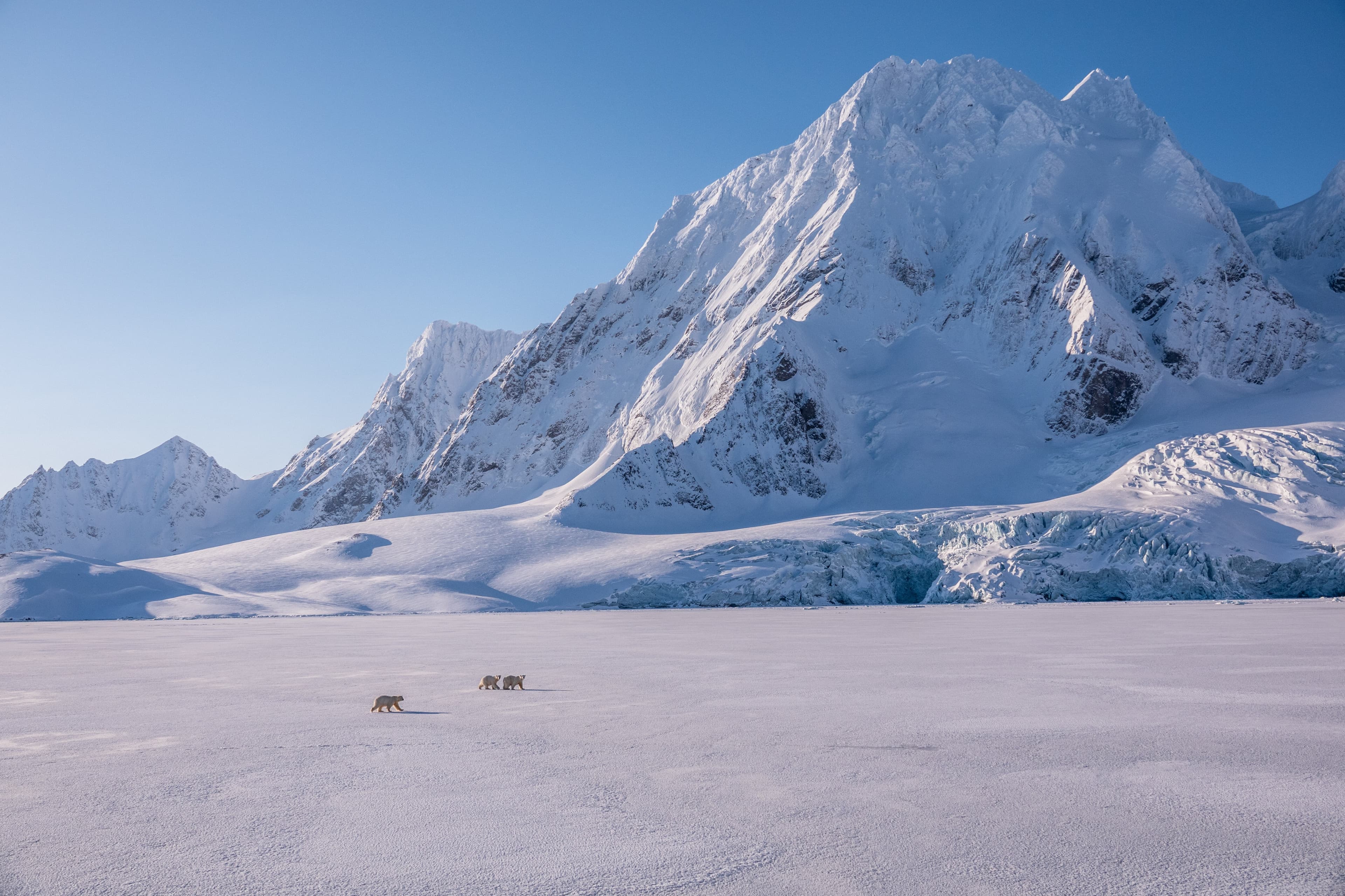 Hero Image Large RGB-LEX-Norway Svalbard DSC01285.jpg