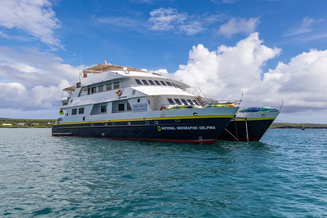 National Geographic Delfina: A Closer Look at Our New Catamaran in Galápagos - Article