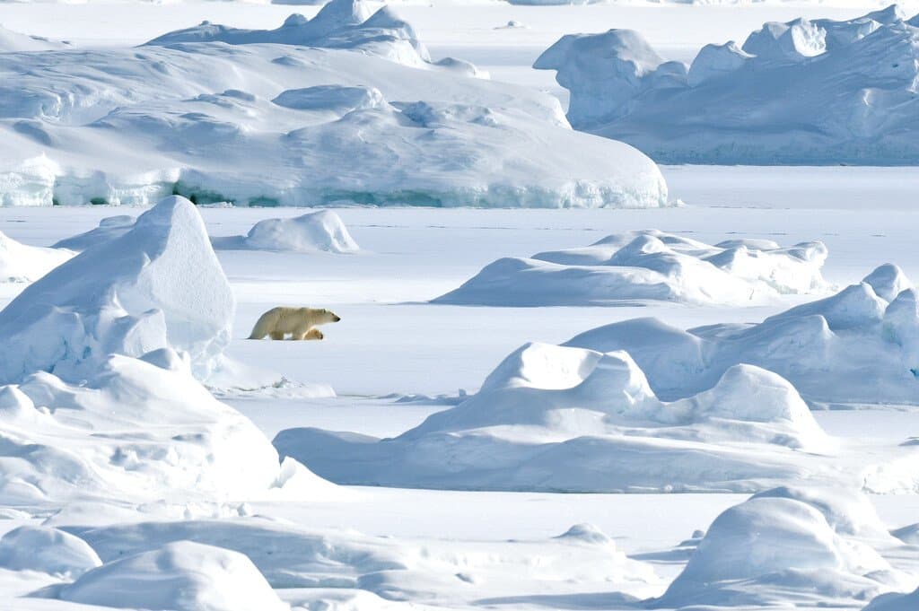 Medium RGB-LEX-Greenland GR114 RM Alamy R3N2KJ .jpg