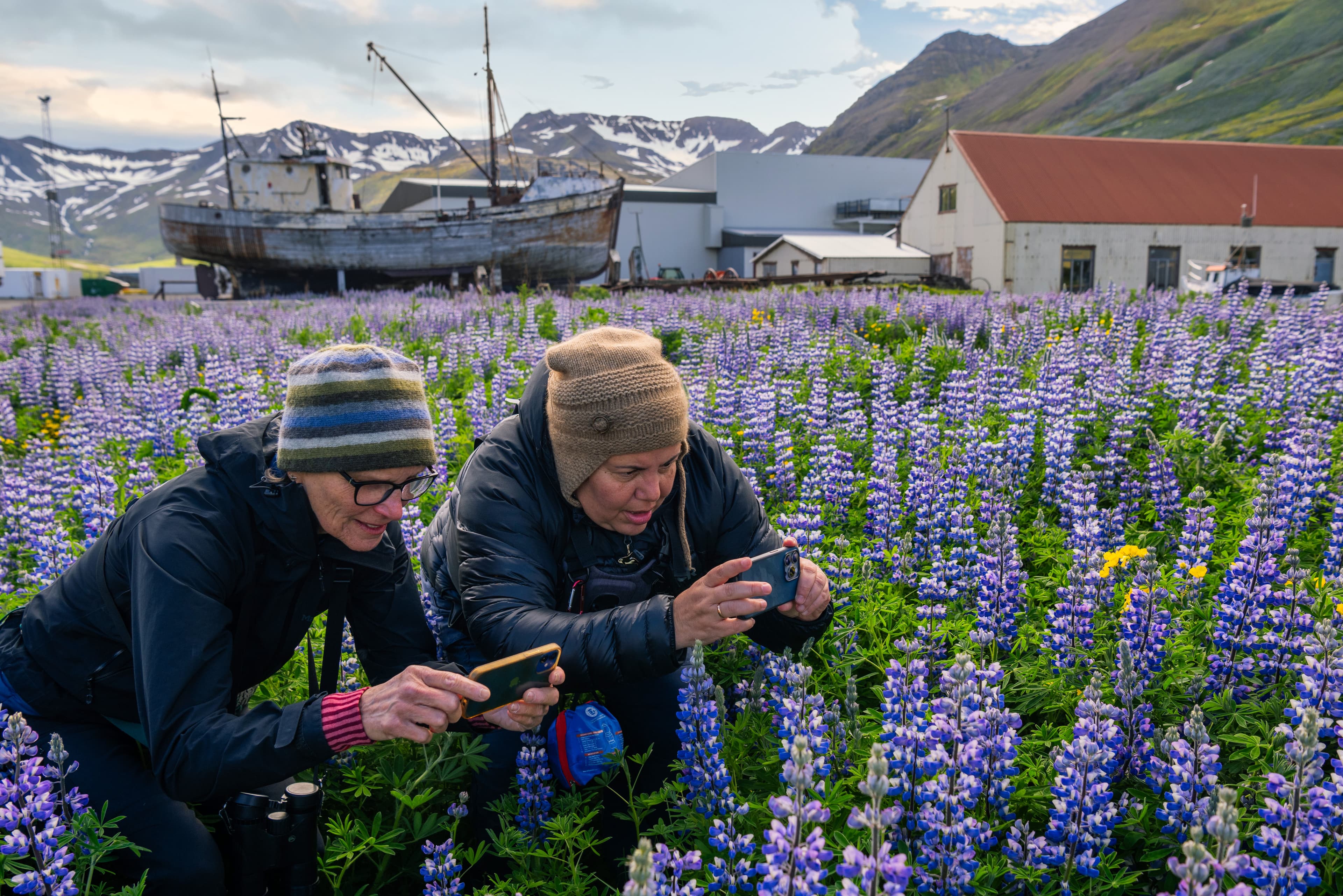 Siglufjörður-788.jpeg