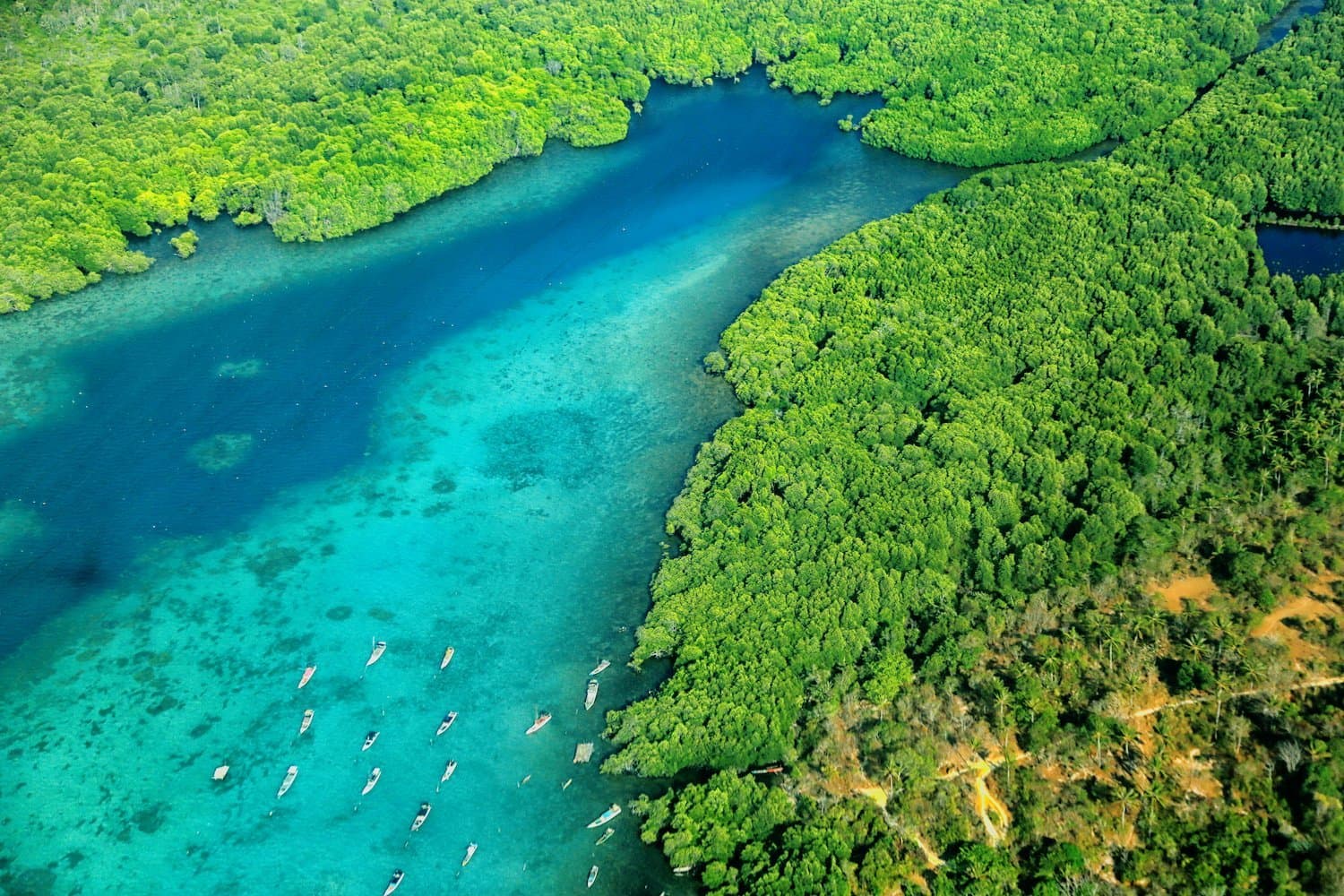 Karimunjawa Java shutterstock.jpg