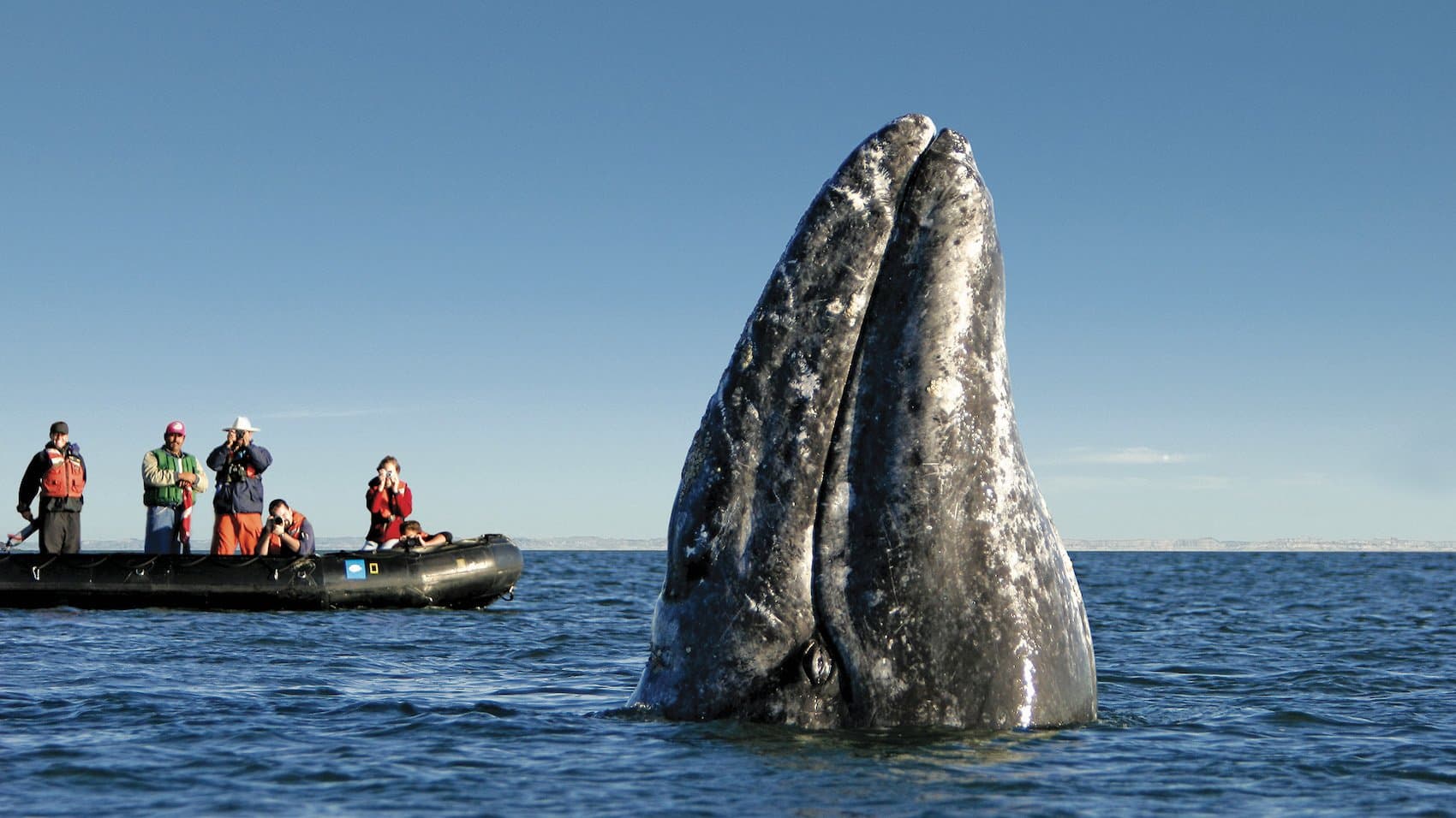Mexico_BajaCalifornia_BM494-crop-16x9.jpg