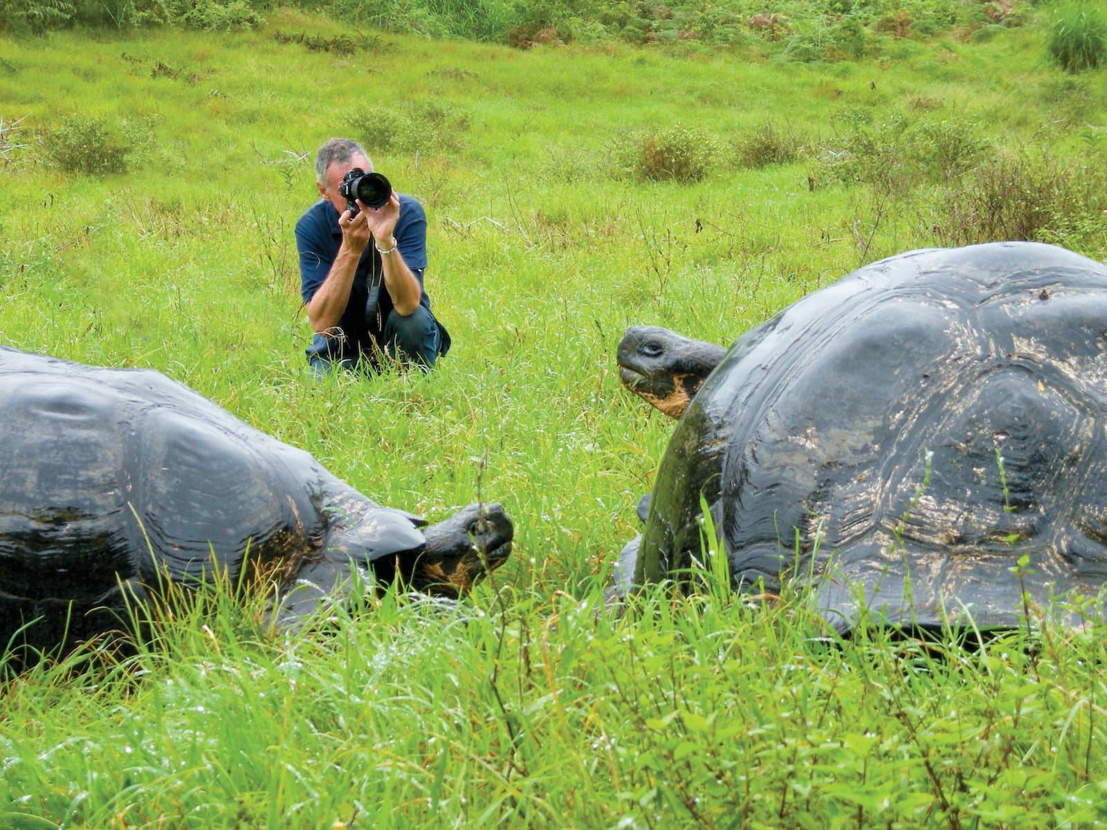 Ecuador_Galapagos_GL451.jpg